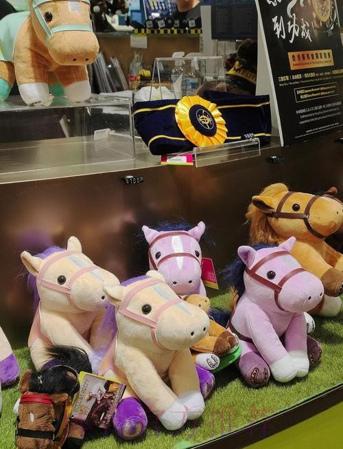 香港赛区一张门票可看多场比赛 香港赛区一张门票可看多场比赛